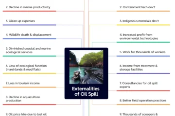 Externalities of Oil Spill: 10 Positive and 10 Negative Effects Externalities of Oil Spill: 10 Positive and 10 Negative Effects