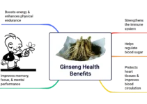 Five Notable Ginseng Health Benefits and Its Possible Side Effects