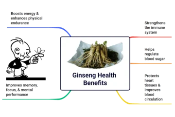 Five Notable Ginseng Health Benefits and Its Possible Side Effects Five Notable Ginseng Health Benefits and Its Possible Side Effects