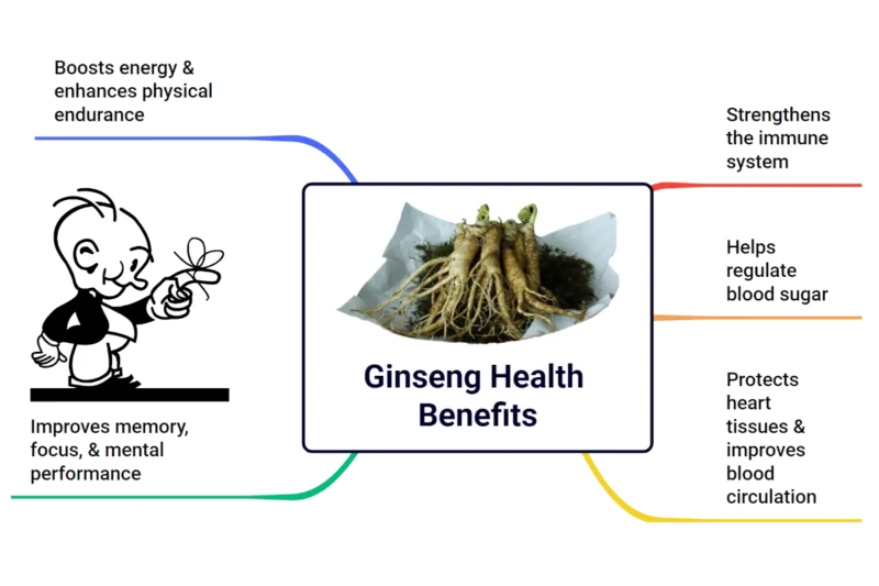 Five Notable Ginseng Health Benefits and Its Possible Side Effects 1 five ginseng health benefits