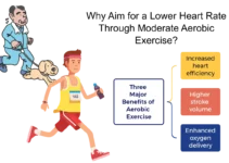 Is a Resting Pulse Rate of 45 Normal? My Personal Experience Explained