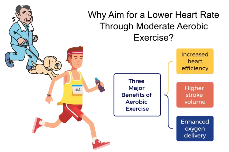 Is a Resting Pulse Rate of 45 Normal? My Personal Experience Explained 1 lower resting pulse rate benefits