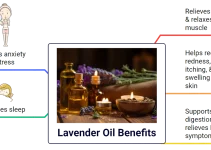 Lavender Oil Benefits: 5 Powerful Health Effects Backed by Science