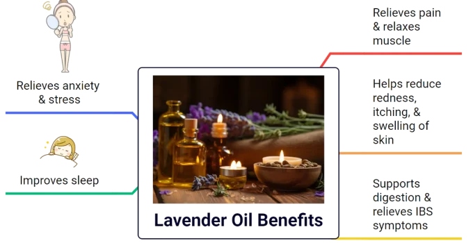 Lavender Oil Benefits: 5 Powerful Health Effects Backed by Science