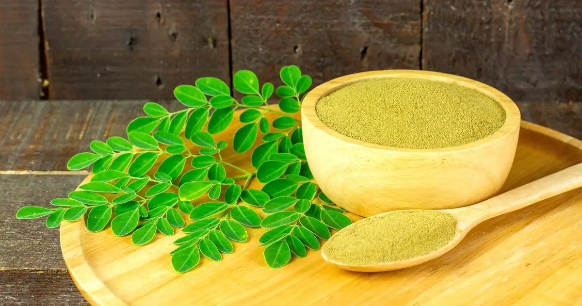 Health Benefits of Moringa oleifera (Malunggay): A Nutrition-Packed Food and Culinary Delight 1 health benefits of moringa