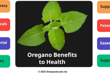 Oregano Benefits: Cooking, Health Uses and Safety Tips Oregano Benefits: Cooking, Health Uses and Safety Tips