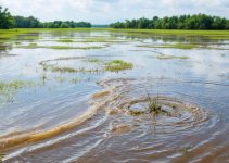 How Are Research Topics Identified? Lessons from Sea Level Rise in Palawan