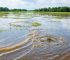 How are Research Topics Identified? Lessons from Sea Level Rise in Palawan