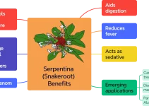 Rauvolfia serpentina (Indian Snakeroot): Uses, Benefits, and Side Effects