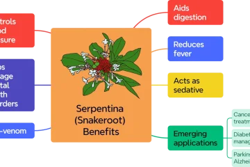 Rauvolfia serpentina (Indian Snakeroot): Uses, Benefits, and Side Effects Rauvolfia serpentina (Indian Snakeroot): Uses, Benefits, and Side Effects