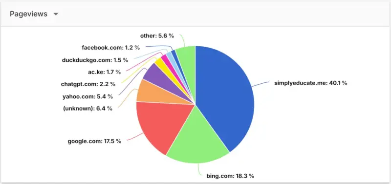 13 Years of Web Development and Maintenance: My Journey, Lessons, and Tips for a Better Website 3 website traffic source